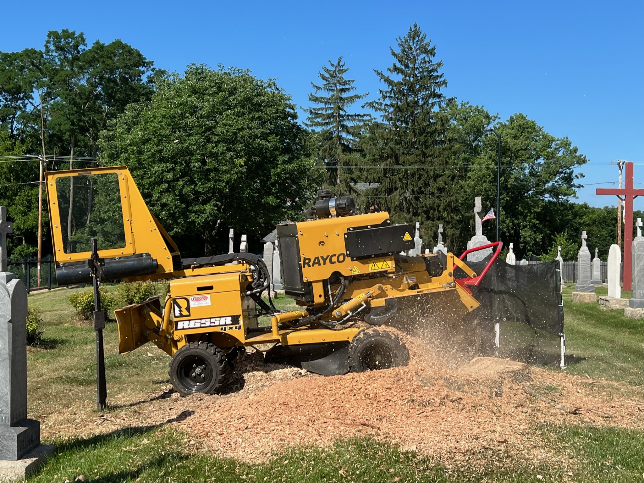 Tree Removal